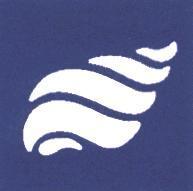 海螺設計圖