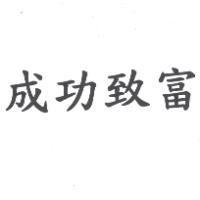 成功致富