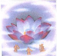 紫金蓮及圖