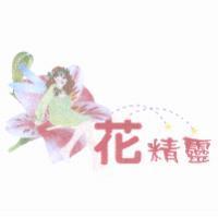 花精靈及圖