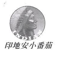 印地安小番茄 INDIAN 及圖