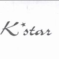 KSTAR 設計圖