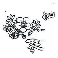 琴及圖 ZIN 