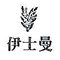 伊士曼及圖