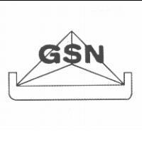 GSN 及圖