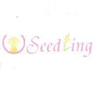 圖與 Seedling 設計圖