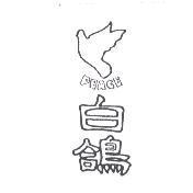 白鴿 PEACE 及圖