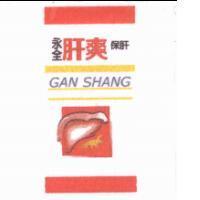 永全肝爽保肝 GAN SHANG 及圖