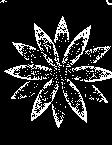 花瓣圖