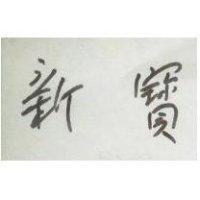 新寶
