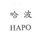 哈波 HAPO