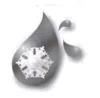 美女花園 公司標章設計圖