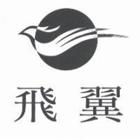 飛翼及圖