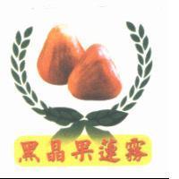 黑晶果蓮霧及圖