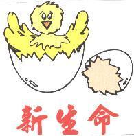 新生命及圖