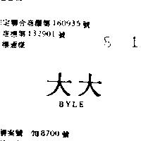 大大 BYLE 