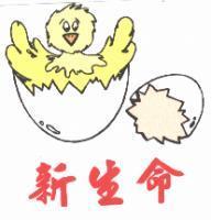 新生命及圖