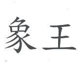 象王