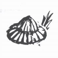 斗笠設計圖
