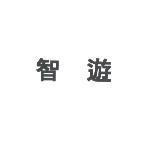 智遊