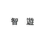 智遊