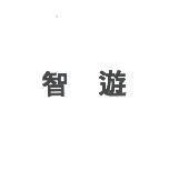 智遊