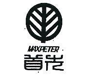首先 MAXPETER 