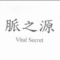 脈之源 Vital Secret