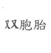 双胞胎