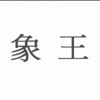 象王