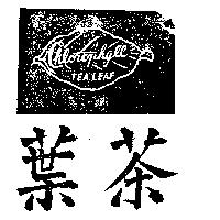 茶葉及圖 TEA LEAF 