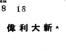 偉利大新 A