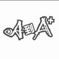 A 到 A+ 及圖