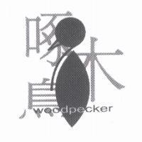 啄木鳥 woodpecker 及圖
