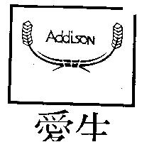 愛生及圖 ADDISON 