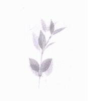 菲莉雅公司標章