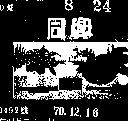 同興 TONG HSING 
