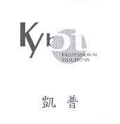 凱普 Kybt PROFESSIONAL SOLUTIONS 及圖