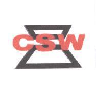CSW 及圖