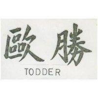 歐勝 TODDER 