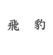 飛豹
