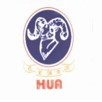 花老師英語 HUA 及圖