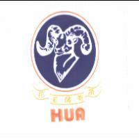 花老師英語 HUA 及圖