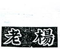 老楊