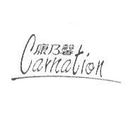 康乃馨 Carnation 及圖