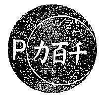 千百力 P 及圖 