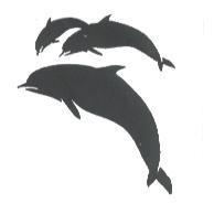 海豚圖