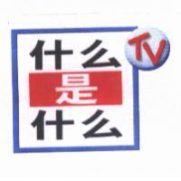 什麼是什麼 TV & Device