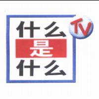 什麼是什麼 TV & Device