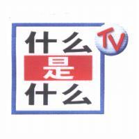 什麼是什麼 TV & Device